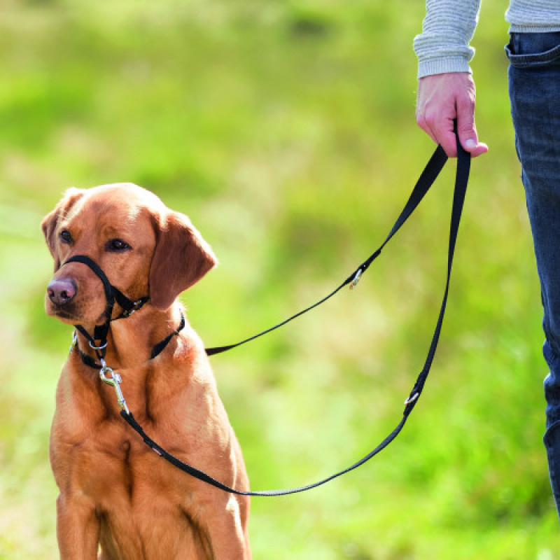 Шлея для собак Trixie тренувальна L-XL чорна