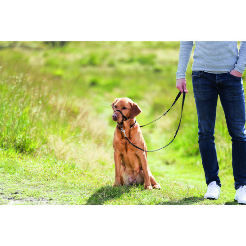 Шлея для собак Trixie тренувальна L-XL чорна