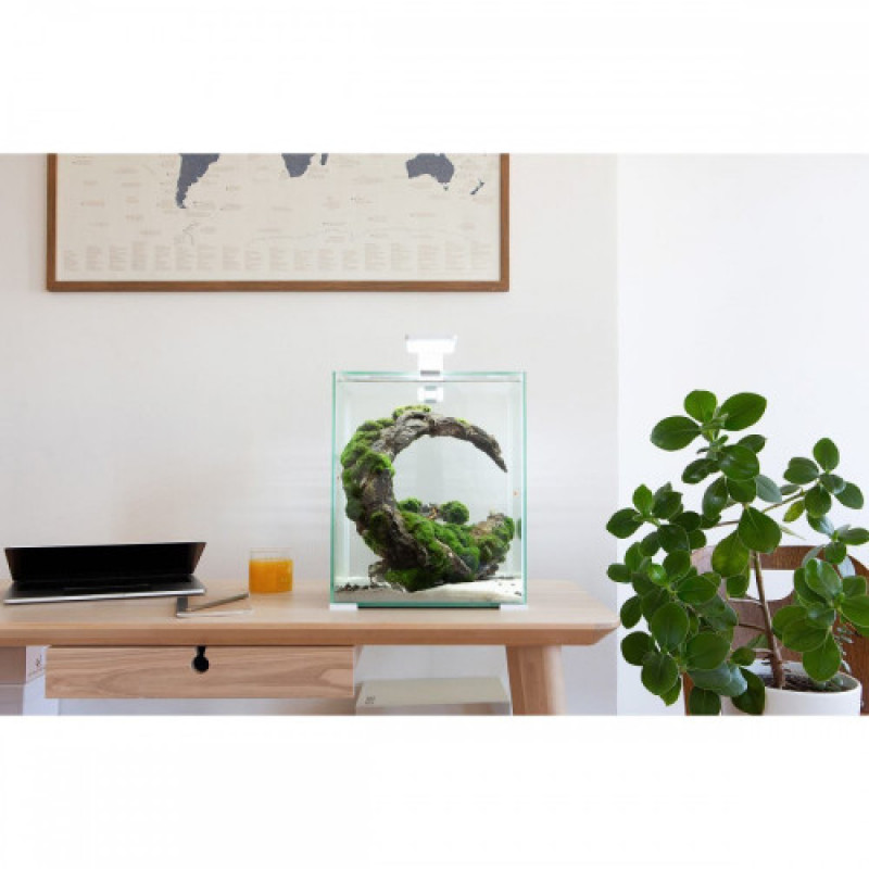 Акваріум Aquael Smart Day Night для креветок прямий білий 10 л