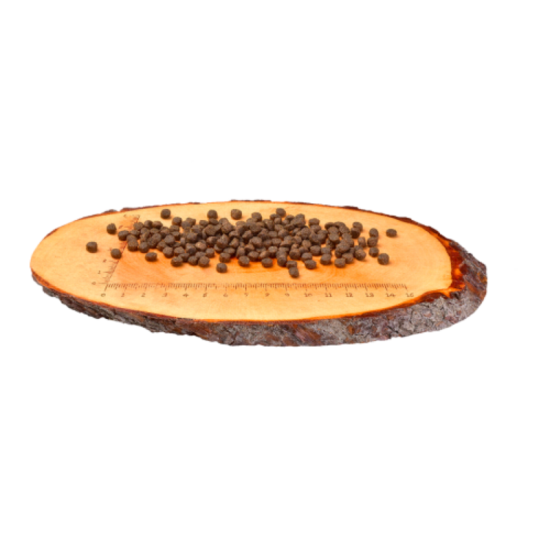 Сухий корм Carnilove Cat Salmon & Turkey для кошенят, лосось та індичка, 6 кг