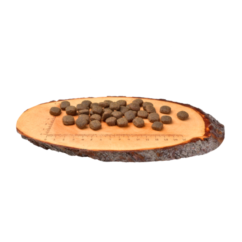 Корм сухий Carnilove Adult Lamb and Wild Boar для дорослих собак усіх порід з ягнятиною та диким кабаном 12 кг