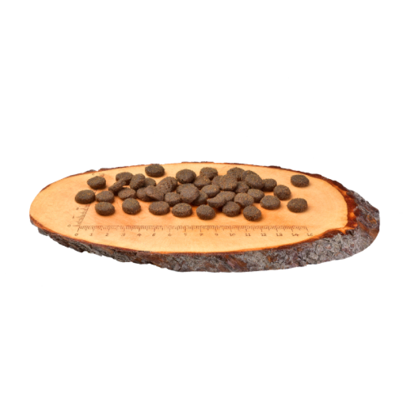 Корм сухий Carnilove Adult Raindeer для дорослих собак усіх порід з північним оленем 1,5 кг