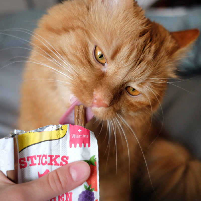 Ласощі GimCat Superfood Duo-Sticks м’ясні палички для котів з куркою та лісовими ягодами 3 шт по 5 г