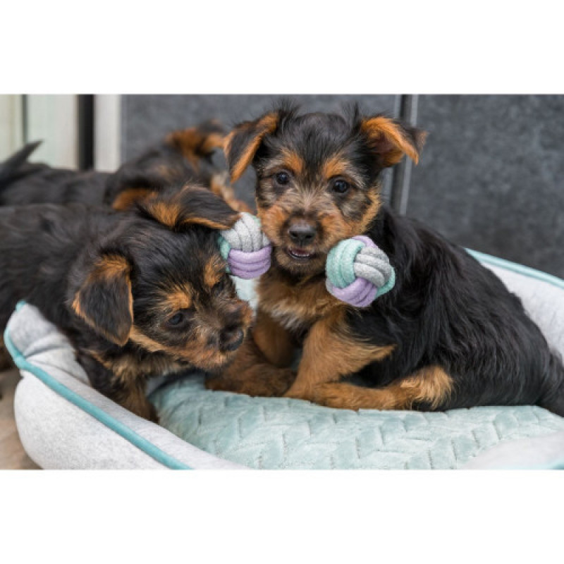 Іграшка Trixie Junior Rope Dumbbell для цуценят Гантель з канатом котон 15 см