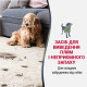 Спрей 8in1 NM ADV Dog Stain&Odor Elimin Spray для собак для усунення плям та запахів, з посиленою формулою, 946 мл