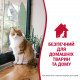 Засіб 8in1 NM Cat Stain&Odor Remover Spray для котів, для усунення плям та запахів, 946 мл