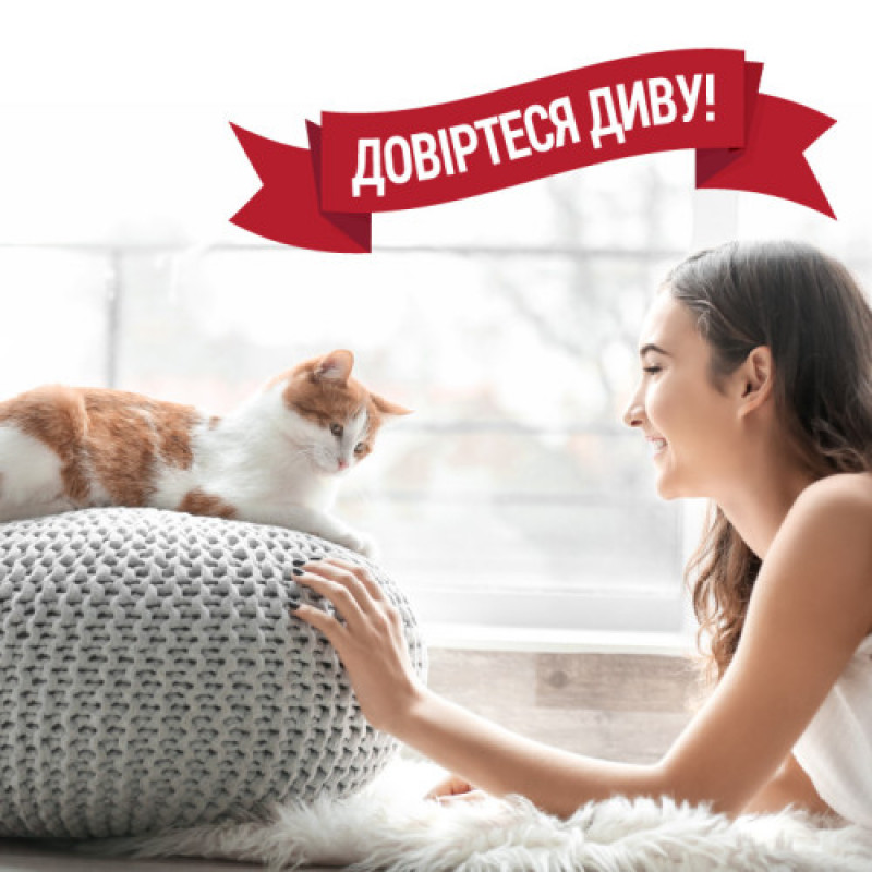 Спрей 8in1 NM ADV Cat S&O Elimin Spray Lemon для котів, усунення плям та запахів, з посиленою формулою, аромат лимону, 946 мл