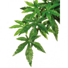 Рослина ExoTerra для тераріуму Abuliton Silk пластик текстиль 40 см