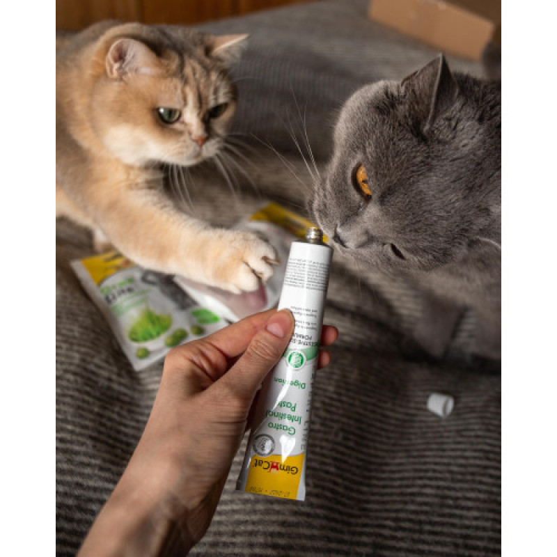 Вітаміни GimCat Expert Line Gastro Intestinal для котів, покращення травлення, 50 г