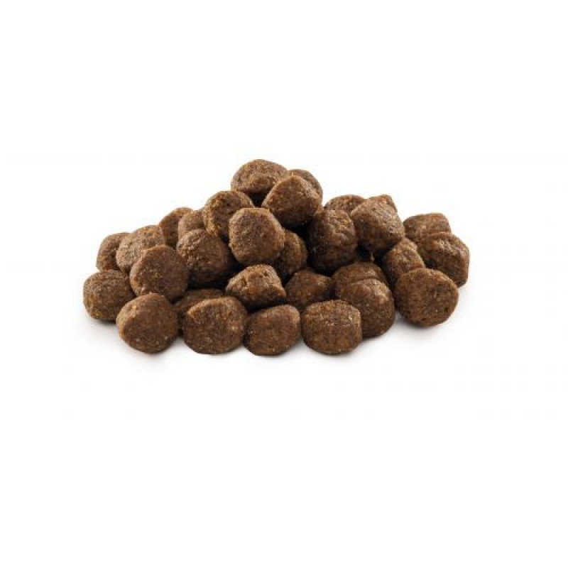 Корм сухий Brit Premium Dog Junior S для молодих собак дрібних порід від 1 до 12 місяців вагою 1-10 кг з куркою 8 кг
