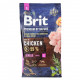 Корм сухий Brit Premium Dog Junior S для молодих собак дрібних порід від 1 до 12 місяців вагою 1-10 кг з куркою 8 кг