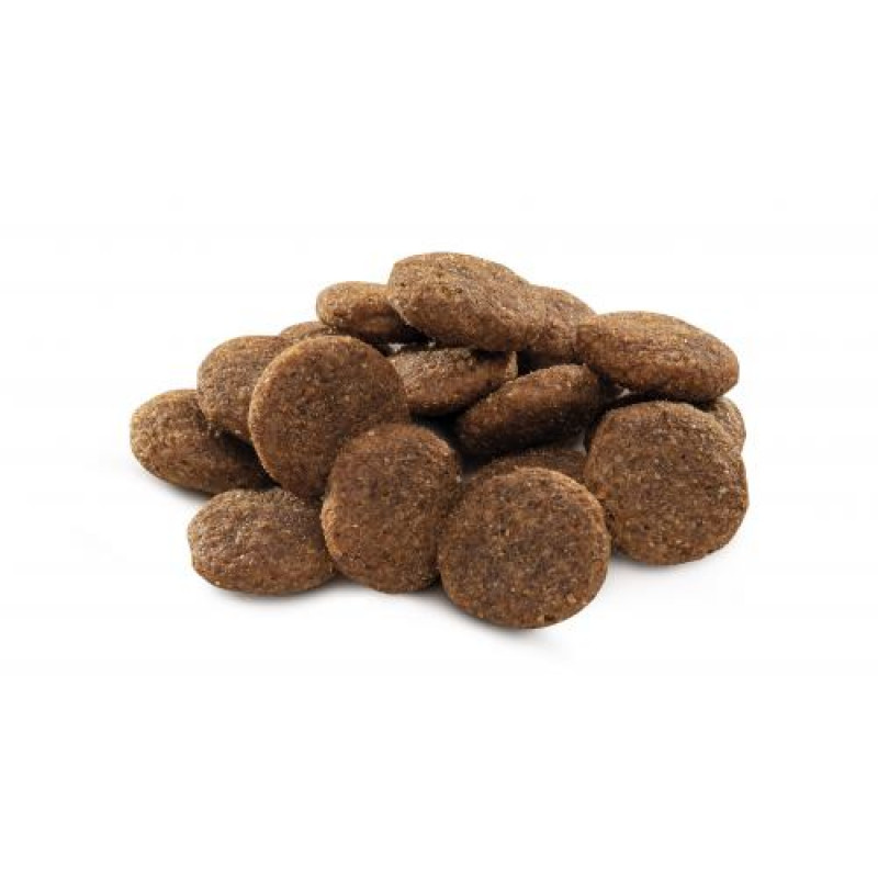 Сухий корм Brit Premium Dog Adult L для дорослих собак великих порід, з куркою, 3 кг