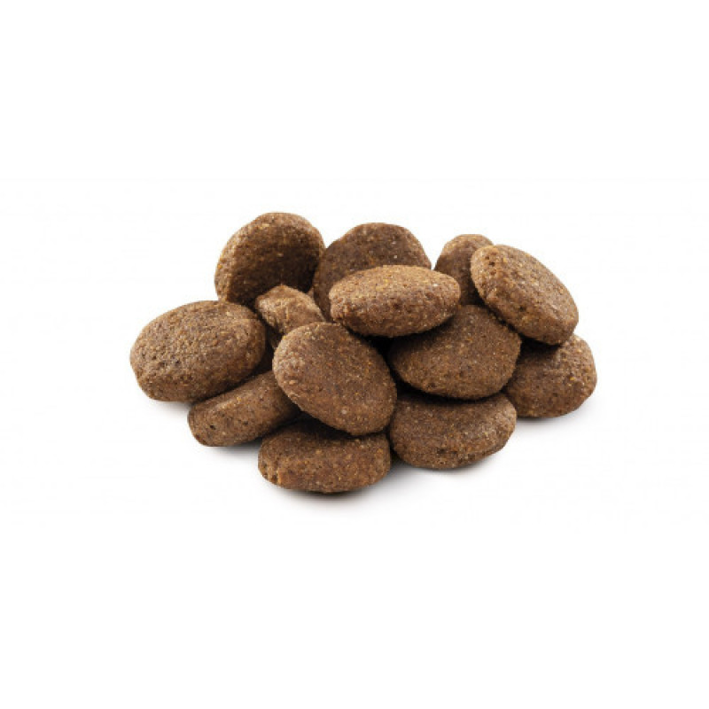 Корм сухий Brit Premium Dog Senior L+XL для собак похилого віку великих та гігантських порід вагою 25-90 кг з куркою 15 кг