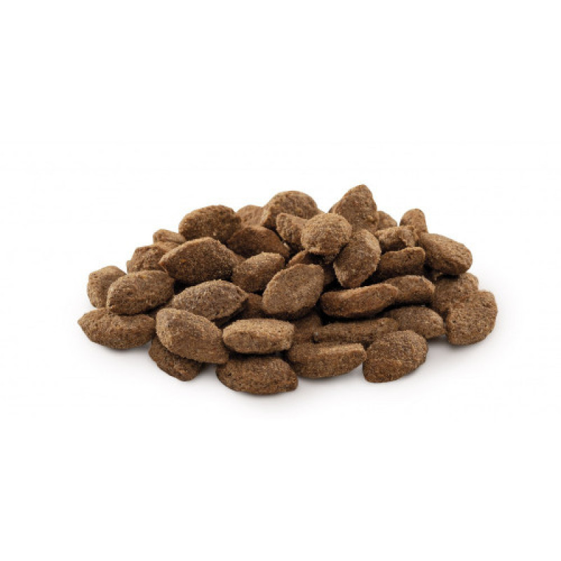 Корм сухий Brit Premium Dog Light для собак з надмірною вагою з індичкою 15 кг