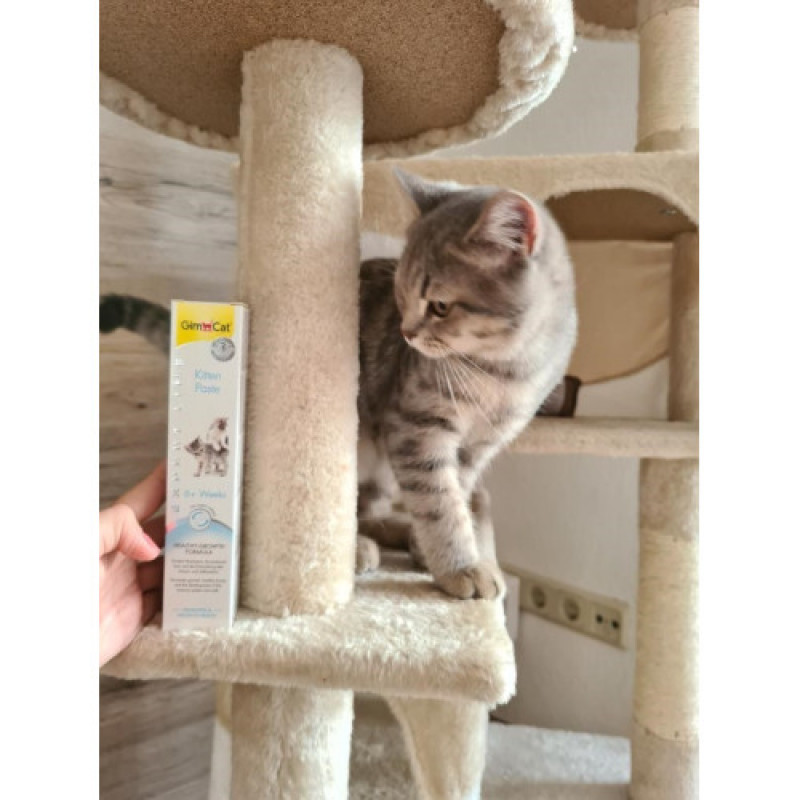 Вітамінна паста GimCat Expert Line Kitten для кошенят, 50 г