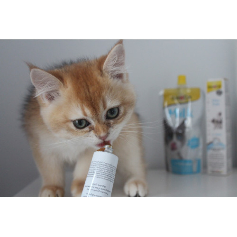 Вітамінна паста GimCat Expert Line Kitten для кошенят, 50 г