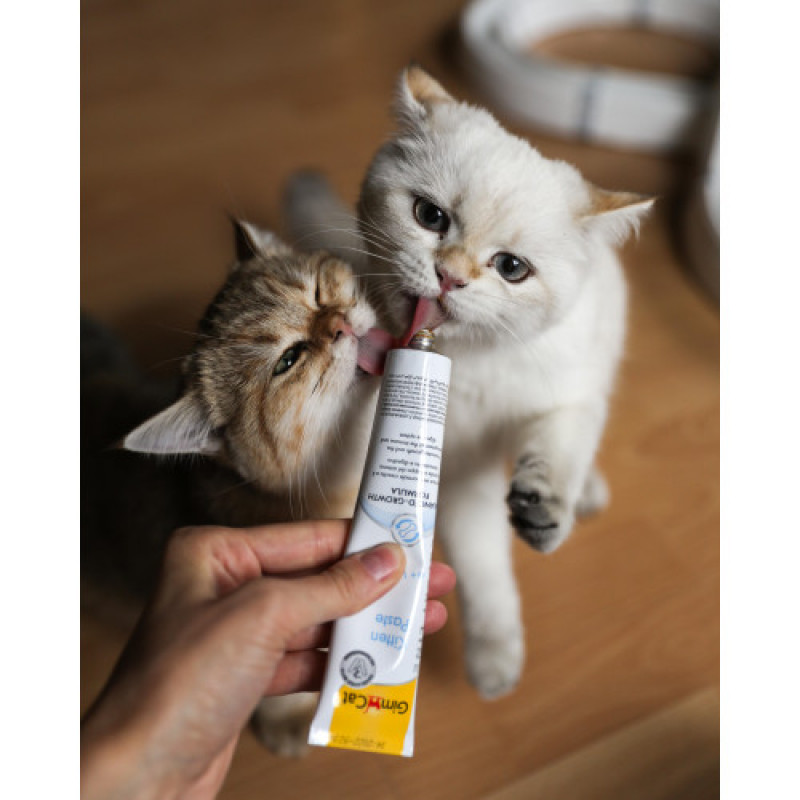 Вітамінна паста GimCat Expert Line Kitten для кошенят, 50 г