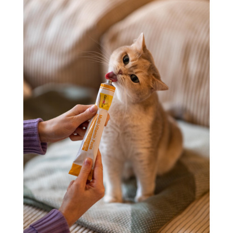 Мультивітамінна паста GimCat Every Day для котів, 200 г