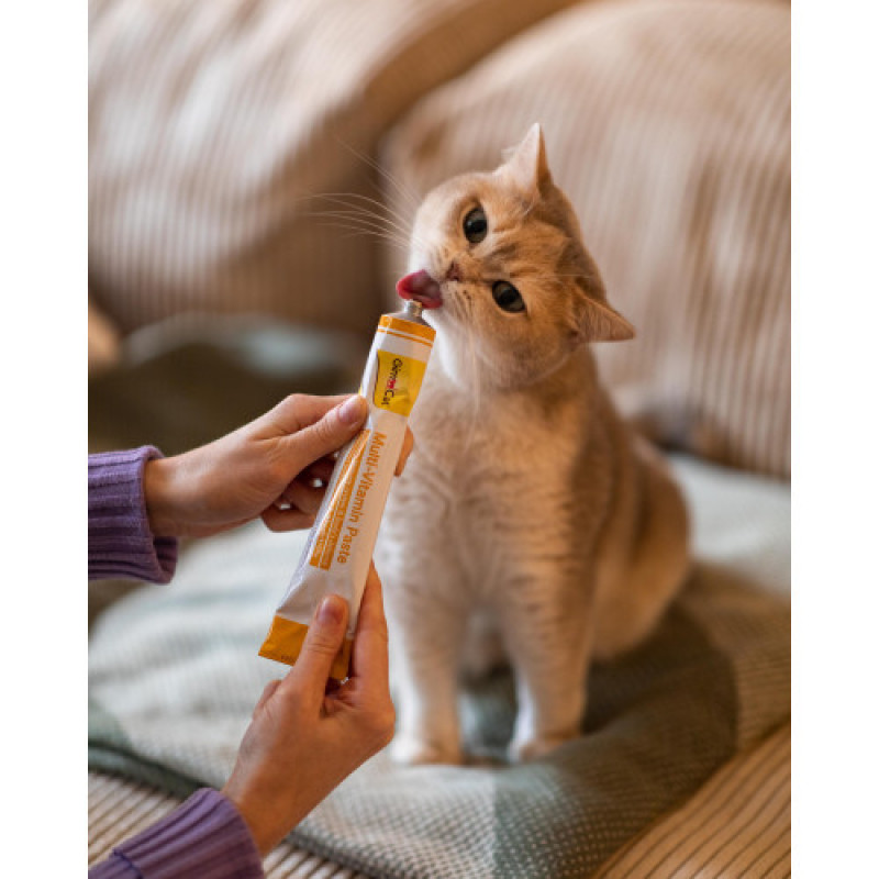 Вітаміни GimCat Every Day мультивітамінна паста для котів для покращення імунітета 200 г