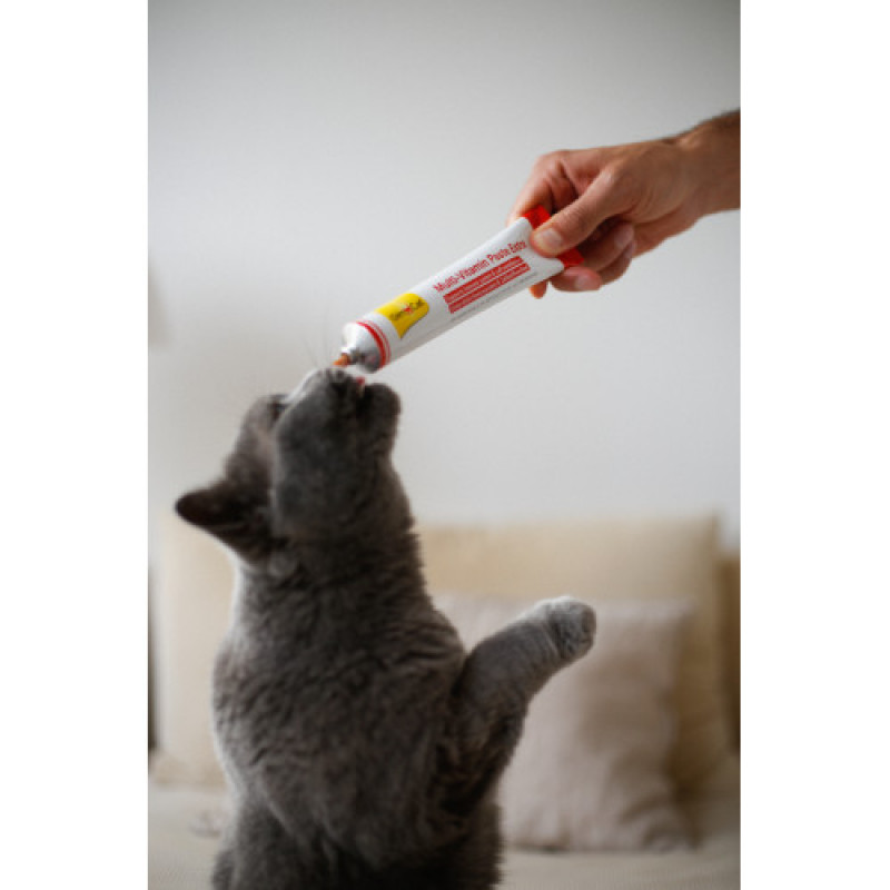 Мультивітамінна паста GimCat Every Day Extra для котів, 50 г