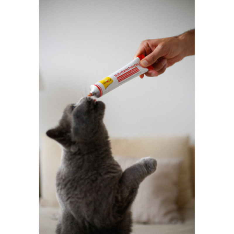 Вітаміни GimCat Every Day Extra мультивітамінна паста для котів для покращення імунітета 50 г