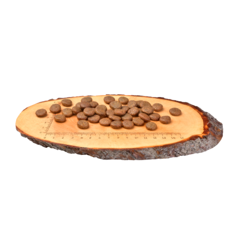 Корм сухий Carnilove Fresh Carp and Trout for Adult dogs для дорослих собак усіх порід з коропом та фореллю 1,5 кг