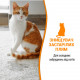 Спрей 8in1 NM Cat Orange Oxy Spray для котів, усунення плям і запахів, 709 мл