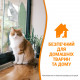 Спрей 8in1 NM Cat Orange Oxy Spray для котів, усунення плям і запахів, 709 мл