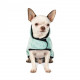 Попона Pet Fashion «Blanket» для такс, розмір S, м'ята