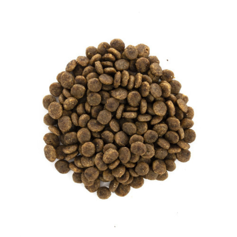 Корм сухий Brit Care Cat Grain Free Sensitive HDigestion Delicate Taste для котів з чутливим травленням індичка та лосось 400 г