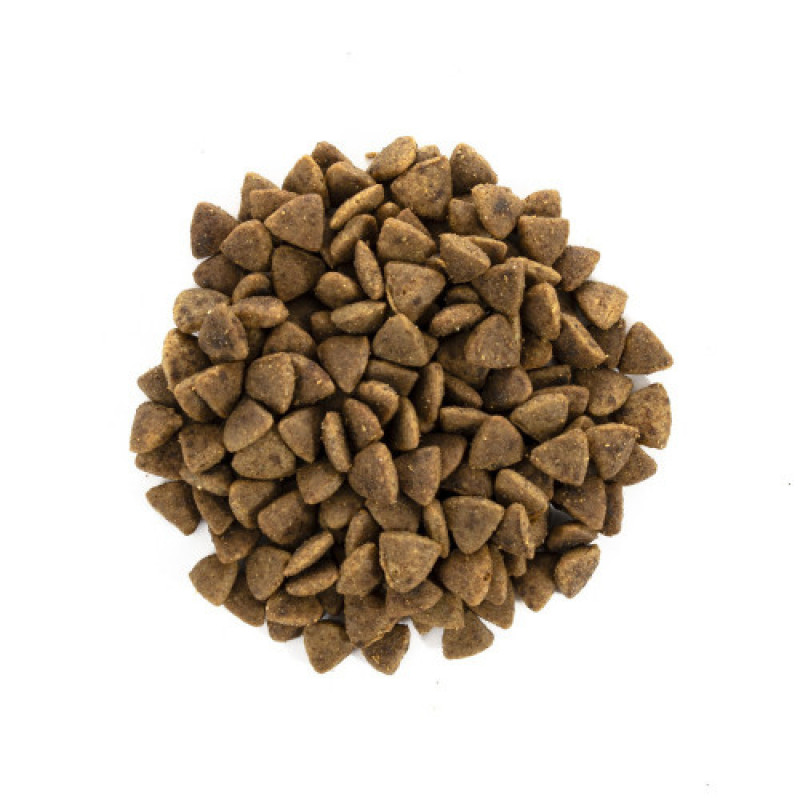 Корм сухий Brit Care Cat Grain Free Adult Activity Support для вуличних та дорослих котів філе індички та курки 7 кг