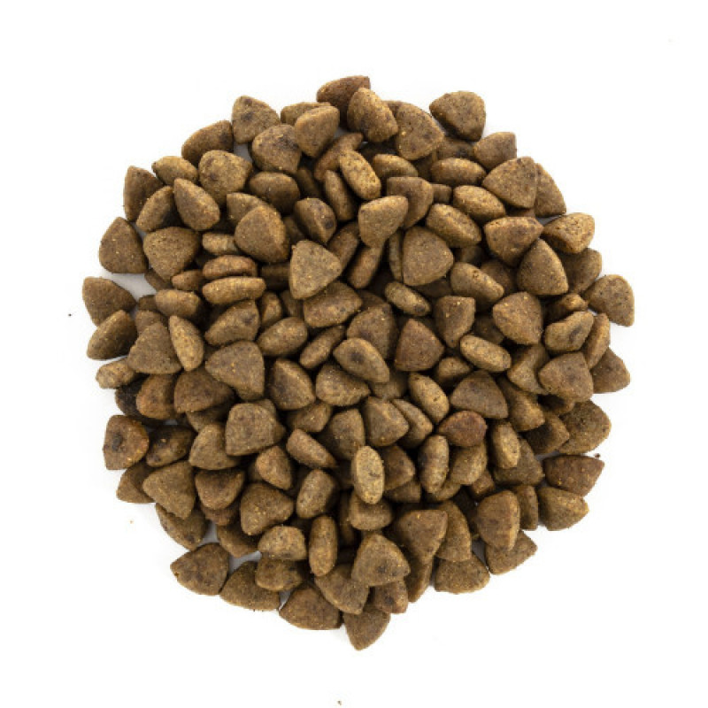 Корм сухий Brit Care Cat Grain Free Haircare Healthy and Shiny Coat для котів догляд за шкірою і шерстю лосось та курка 7 кг