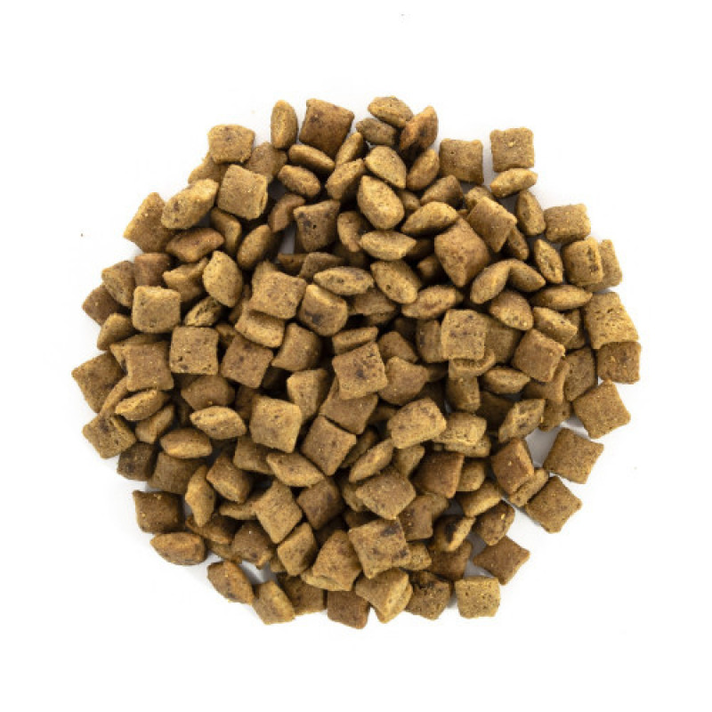 Корм сухий Brit Care Cat Grain Free Senior Weight Control для котів похилого віку з надмірною вагою з куркою 400 г