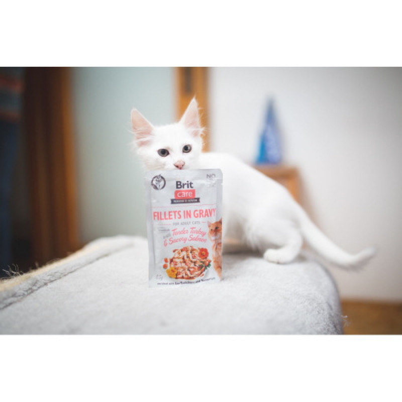 Корм вологий Brit Care Fillets in Gravy Tender Turkey and Savory Salmon д/котів філе в соусі з індичкою та лососем 85 г