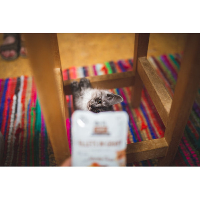 Корм вологий Brit Care Fillets in Gravy Hearty Duck д/котів філе в соусі з качкою 85 г