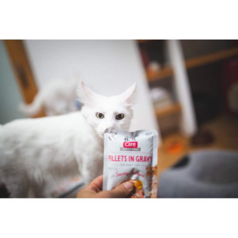 Корм вологий Brit Care Fillets in Gravy Savory Salmon д/котів філе в соусі з пікантним лососем 85 г