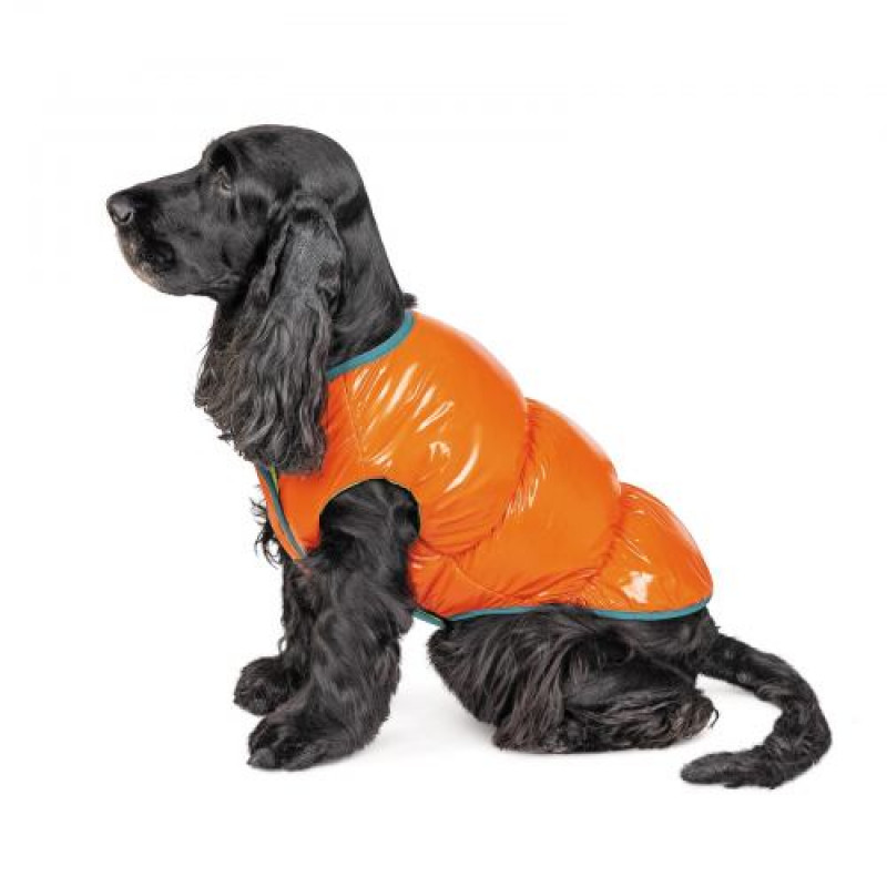 Жилет Pet Fashion «Spring» для собак, розмір XS2, помаранчевий