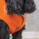 Жилет Pet Fashion «Spring» для собак, розмір XS2, помаранчевий