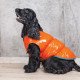 Жилет Pet Fashion «Spring» для собак, розмір XS2, помаранчевий