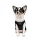 Борцівка Pet Fashion «FBI» для собак, розмір M2, чорна