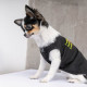 Борцівка Pet Fashion «FBI» для собак, розмір M2, чорна
