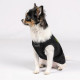 Борцівка Pet Fashion «FBI» для собак, розмір M2, чорна