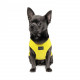 Борцівка Pet Fashion «Puppy» для собак, розмір XS2, жовта