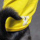 Борцівка Pet Fashion «Puppy» для собак, розмір XS2, жовта