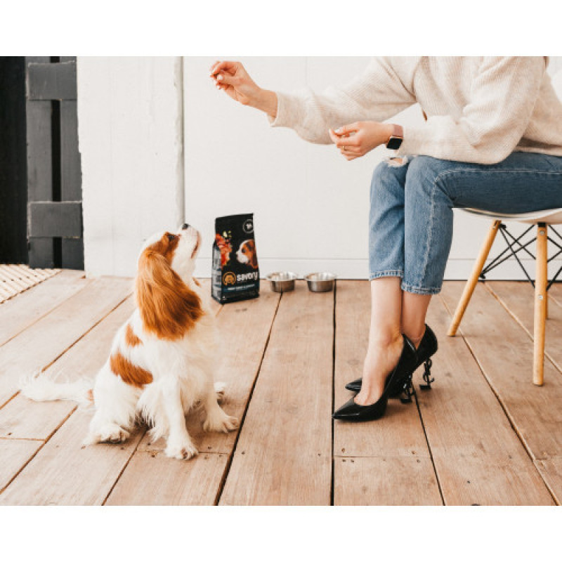 Корм сухий Savory Puppy rich in Fresh Turkey and Chicken для цуценят всіх порід зі свіжою індичкою і куркою 1 кг