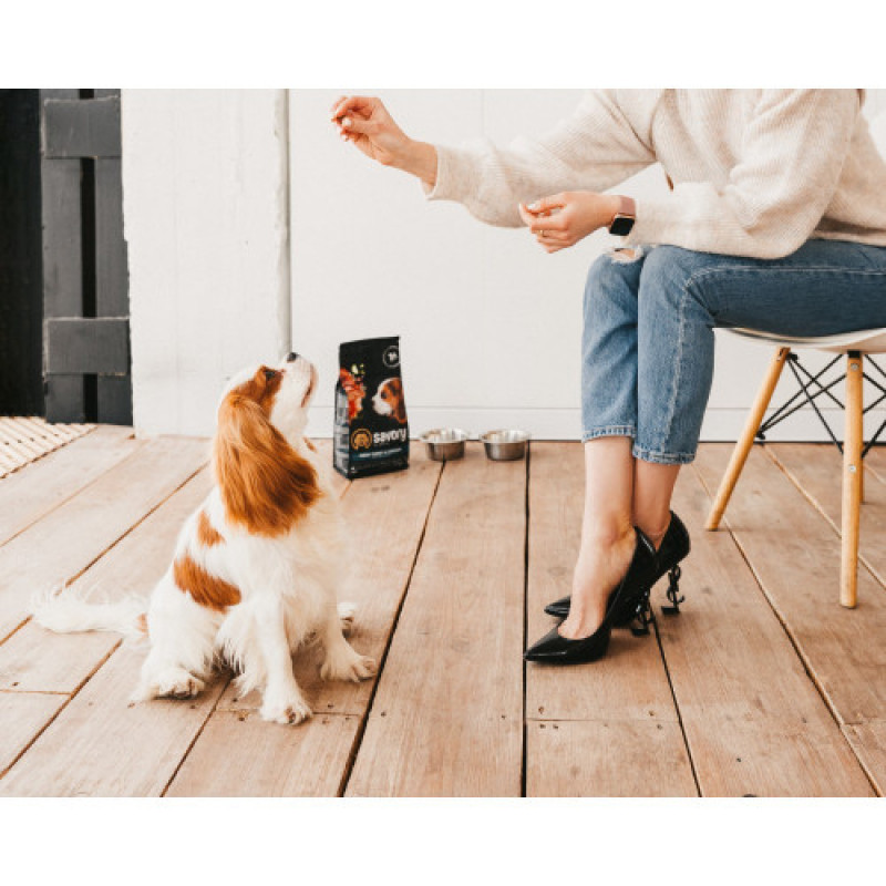 Корм сухий Savory Puppy rich in Fresh Turkey and Chicken для цуценят всіх порід зі свіжою індичкою і куркою 3 кг