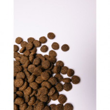 Корм сухий Savory Junior Large rich in Fresh Turkey and Chicken для молодих собак великих порід від 25 кг зі свіжою індичкою та куркою 12 кг