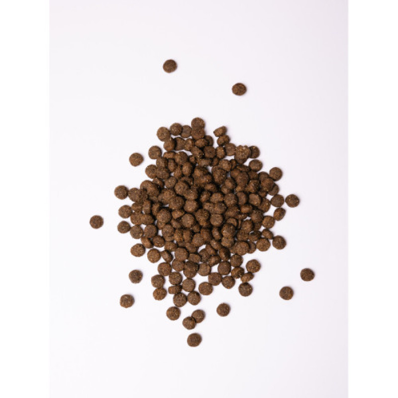 Корм сухий Savory Medium Breed rich in Fresh Turkey and Lamb для дорослих собак середніх порід від 10 до 25 кг зі свіжим ягням та індичкою 1 кг