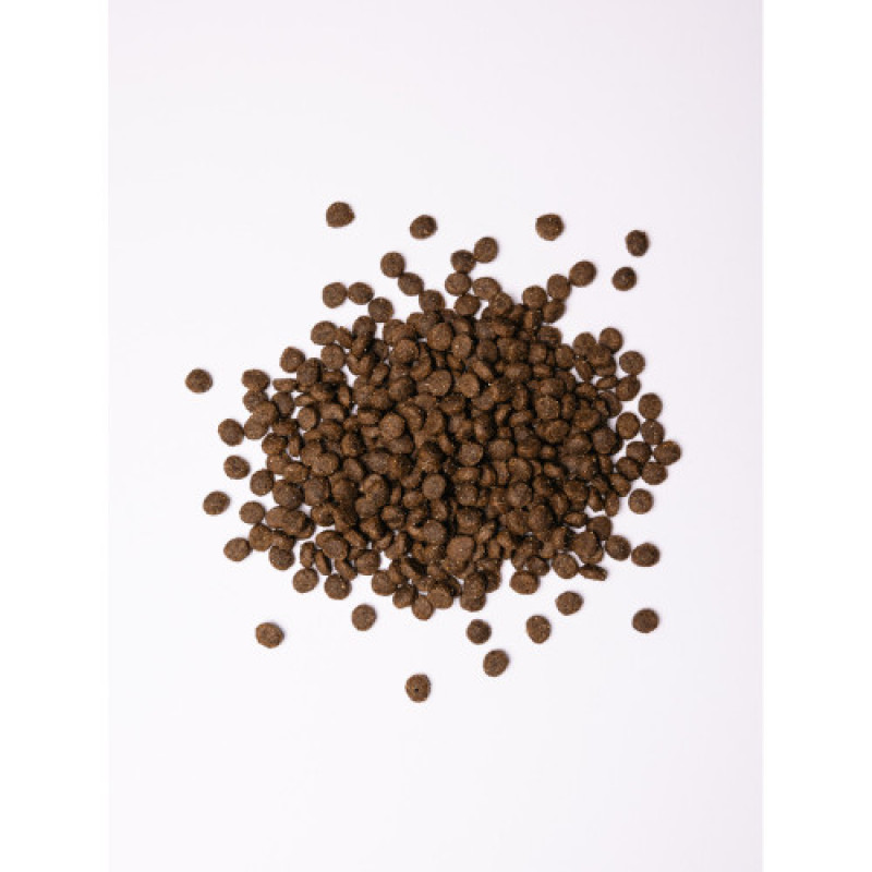 Корм сухий Savory Small Breeds rich in Fresh Lamb для дорослих вибагливих собак малих порід до 10 кг зі свіжим ягням 8 кг