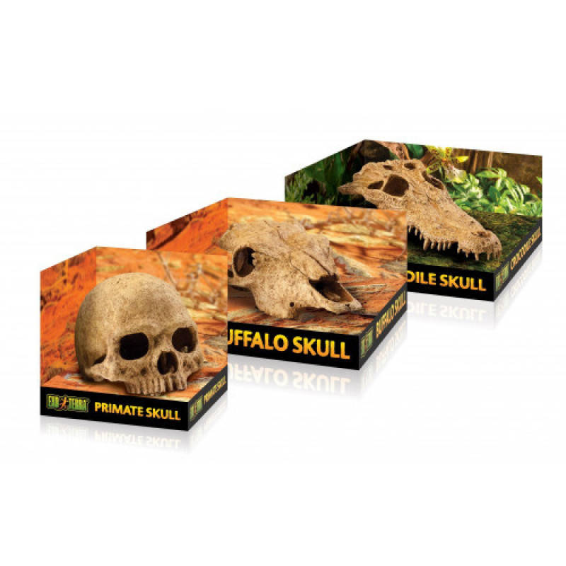 Декорація Exo Terra Череп людини для тераріума пластикова